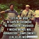 Saul Laleman