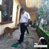 Hombres Solteros en Santa Rita Guastatoya (El Progreso)