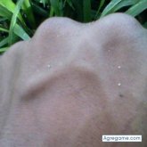 estevanruiz507 chico soltero en David