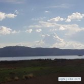 Lekun chico soltero en Viacha