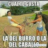 Chatear con Eldurogonzalez de Ecatepec De Morelos