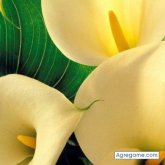 sandraa chica casada en Terrassa