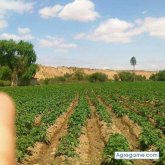 Chatear con sandragarcia5140 de Aguas Calientes