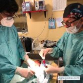 crismadueno chico soltero en La Oroya