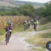 Obrero. Busco pareja. Una mujer soltera.