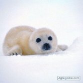 hectormedi87 foto #8