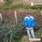 Foto de perfil de wilalberto