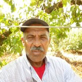 Cocinero. Busco mujeres. Delgado ,5.