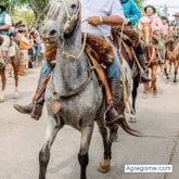 Encuentra Mujeres Solteras en Guichón (Paysandu)