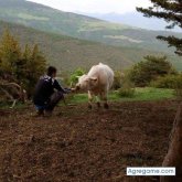 Busco pareja. Conocer mujeres para