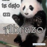 Chatear con Rem619 de Copacabana