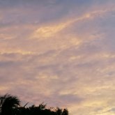 Busco ligar. Chicaca para algo no