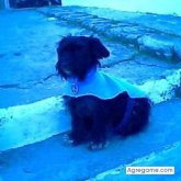 adry28 chica casada en Montevideo