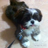 Hernandez66 chico soltero en Amsterdam