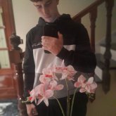 Damianolmedo