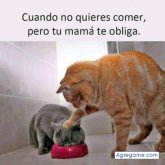 adelzoncinto chico soltero en Ostuncalco