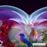 sssssol chico soltero en Castillo De Teayo