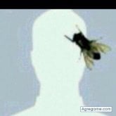 Busco conocer gente.