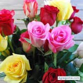 nelson301989 foto #18