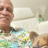 fernandoruiz40733