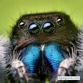 marcoopolo chico soltero en Teopisca