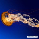 Chatear con vidalvivas de Machagai