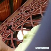 xaviersito12 chico soltero en Tizayuca