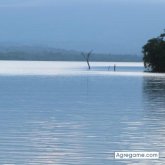 todoloquequieras chico soltero en Mérida