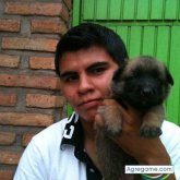 andres elias zarate chavarin