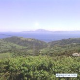 Chatear con aghyoo de Francia