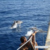 eiartz88vazquez chico soltero en Granada