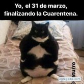 Busco: MujerMe defino: DirectoMe gusta: La paz