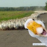 Chatear con Gus1982 de Santa Clara Del Mar