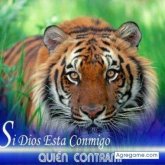 Cesar Zavaleta Cerrillo