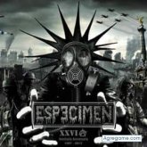 yairandrade chico soltero en Santa Rosa De Lima