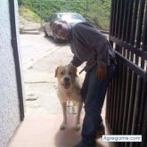 Jorge1Mena chico soltero en Santa Bárbara