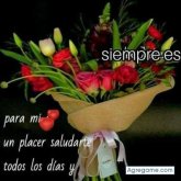 Busco chatear. Mujeres. Me gusta pasar