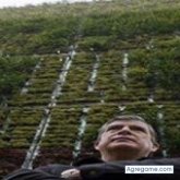 Foto de perfil de Manzur
