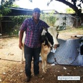Foto de perfil de carlossalsa507chitre