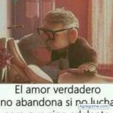Ver fotos más de 2645303909