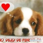 plumas chica casada en Fuenlabrada