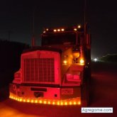 Carlin77 chico soltero en Orlando