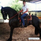 carlos2594 chico soltero en Gualaca