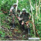 drnoelmaximomedinalo