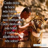 xx999 chico soltero en Troy