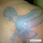 elnegrobucanero foto #11