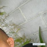 Foto de perfil de reyes9000