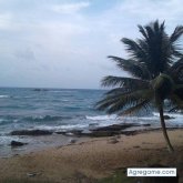 Willies23 chico soltero en Orlando