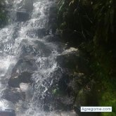 Johnpulgarin chico soltero en La Caridad