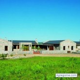 aeleonaeleon chico soltero en Campo Quijano